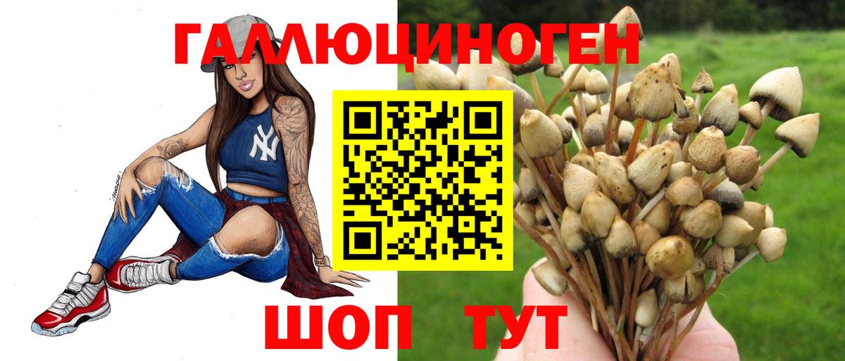 Галлюциногенные грибы GOLDEN TEACHER  цена наркотик  Краснодар  Псилоцибиновые грибы Cubensis  Вход с VPN 
