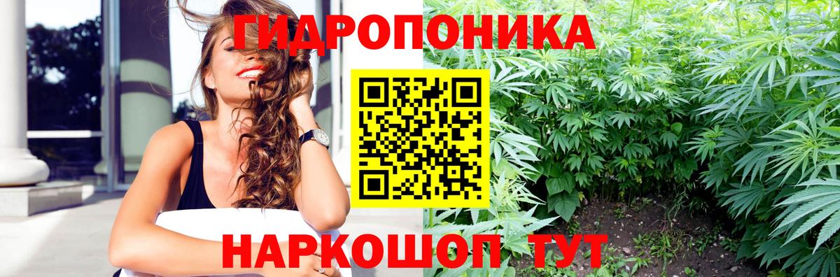 Шишки марихуана семена  Бошки Шишки гибрид  Краснодар  Вход с VPN 